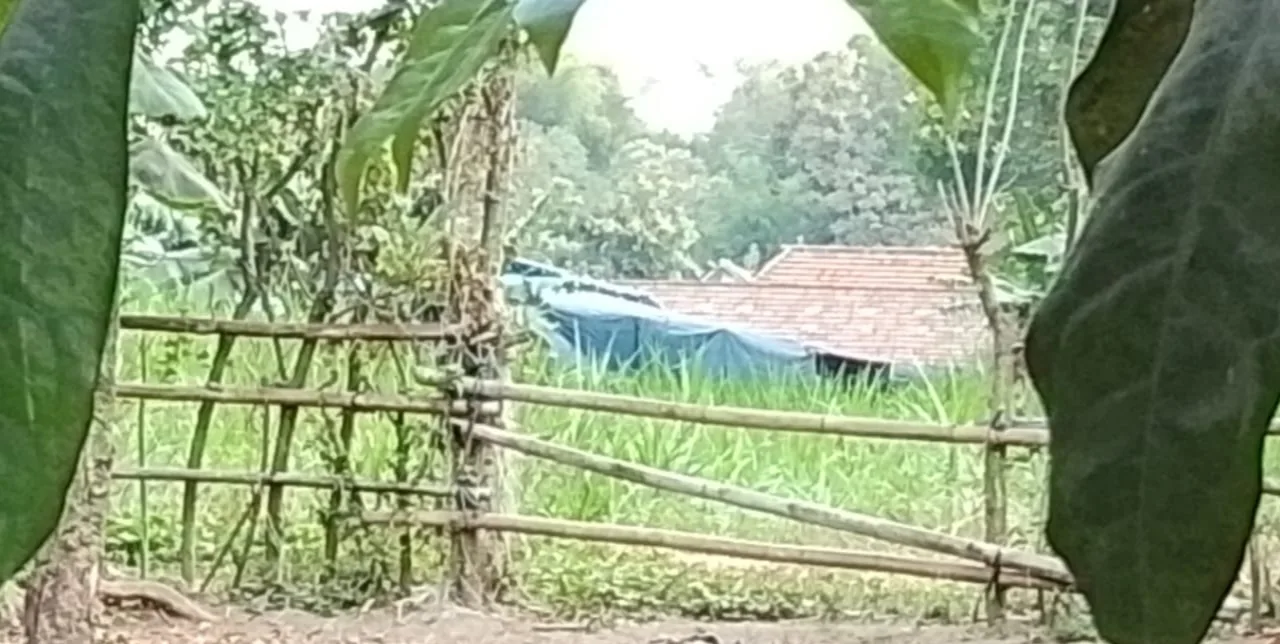 IMG 20261013 125255