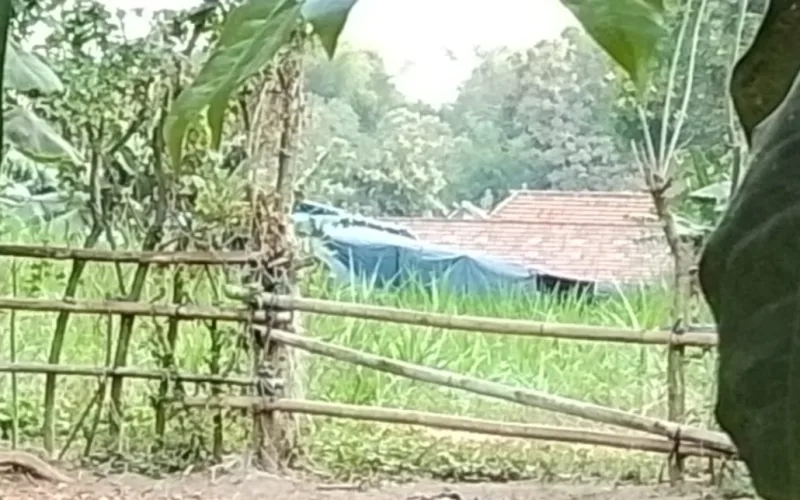 IMG 20261013 125255